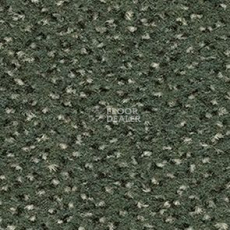 Ковролин Balsan Zenith Roll 250 фото 1 | FLOORDEALER